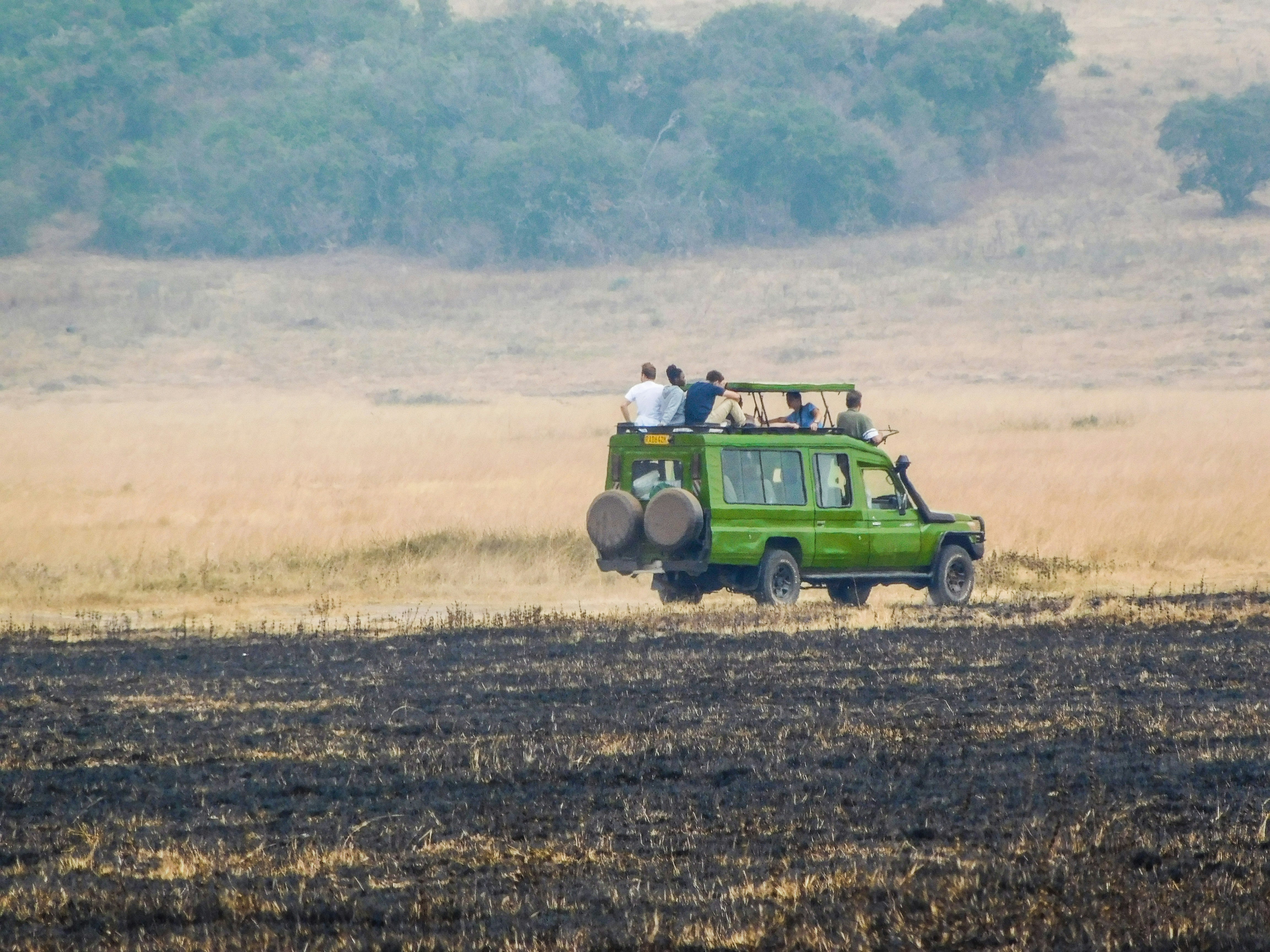 African safari landscape