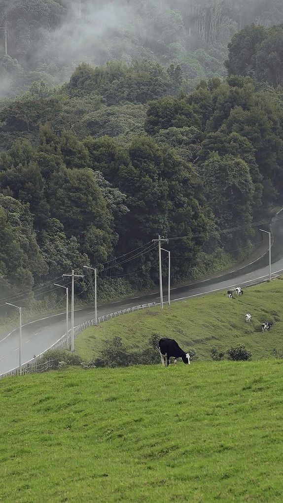 Rwanda countryside road